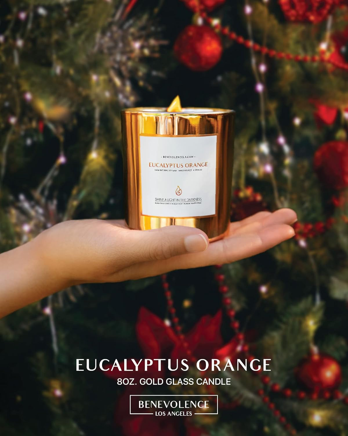 Benevolence Candles Eucalyptus Orange Wood Wick Candles | 8 Oz Christmas Scented Candles for Home Scented | Eucalyptus Candles | Natural Soy Candles Gifts for Women | Holiday Candles | Fall Candles